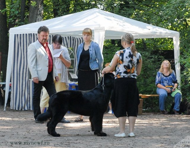 Фотография № 102625