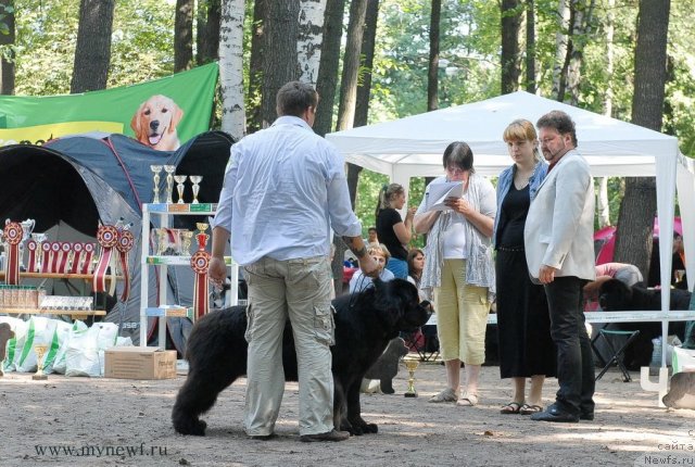 Фотография № 102626