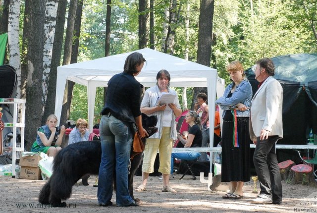 Фотография № 102627