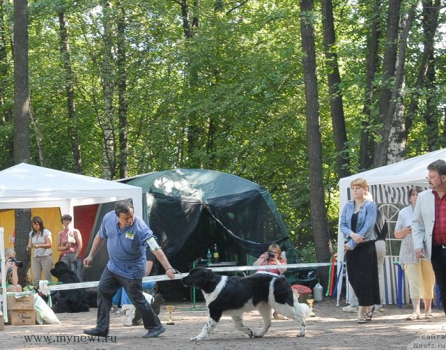 Фотография № 102628