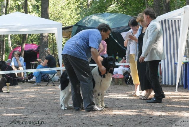 Фотография № 102630