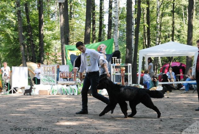 Фотография № 102631