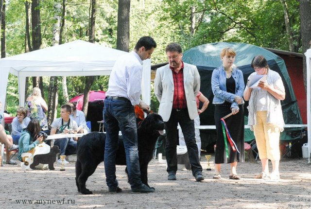 Фотография № 102633