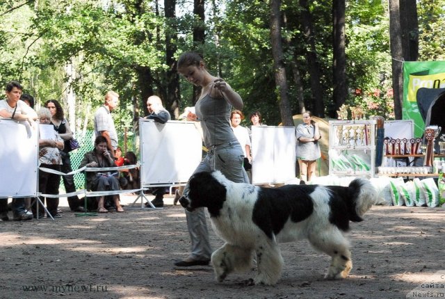 Фотография № 102634