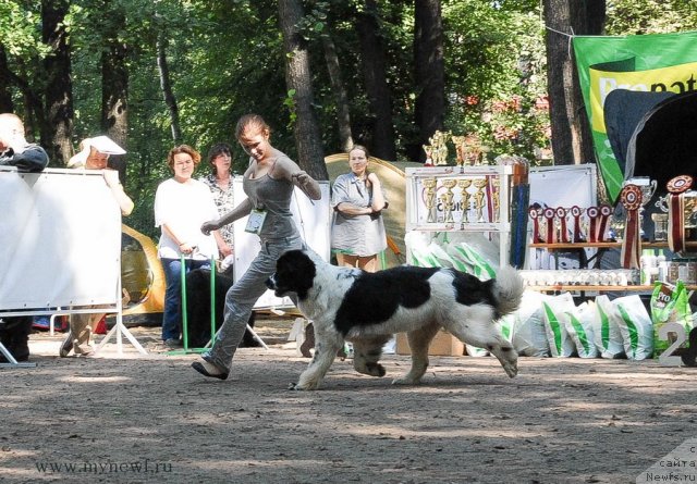 Фотография № 102635