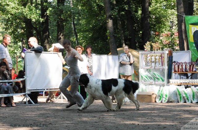 Фотография № 102636