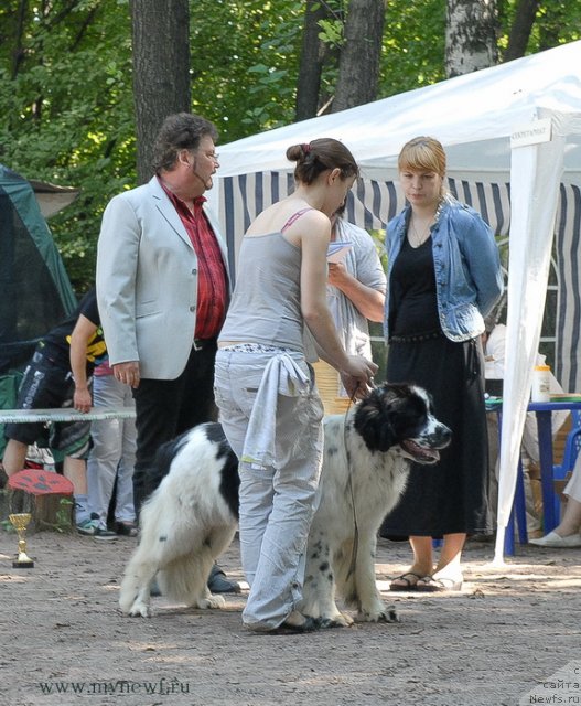 Фотография № 102638