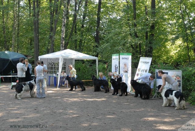 Фотография № 102641