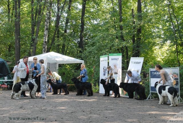 Фотография № 102643