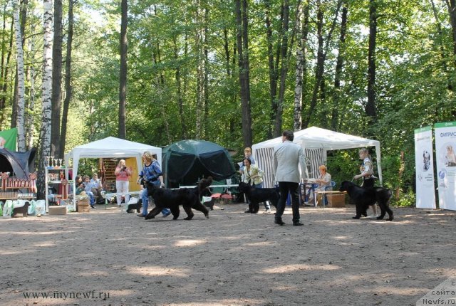 Фотография № 102645