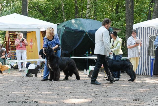 Фотография № 102647