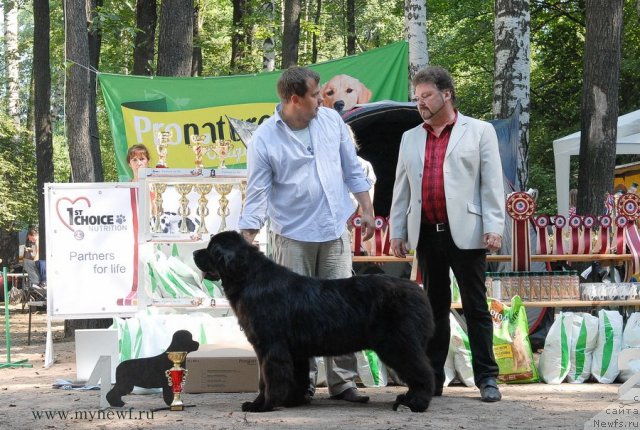 Фотография № 102653