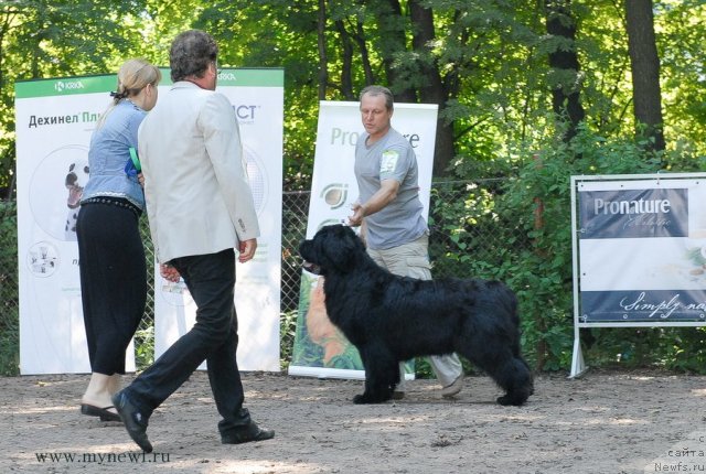 Фотография № 102654