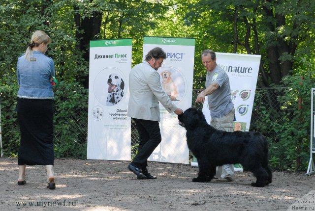 Фотография № 102656