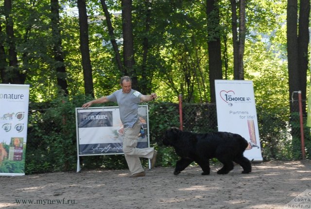 Фотография № 102658