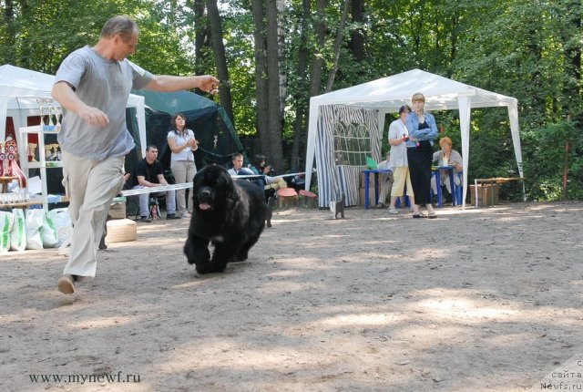 Фотография № 102659