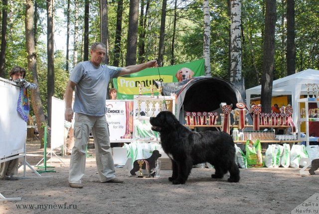 Фотография № 102662