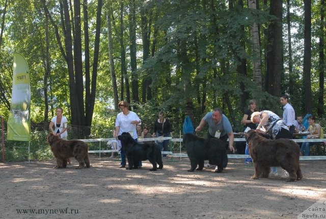 Фотография № 102663