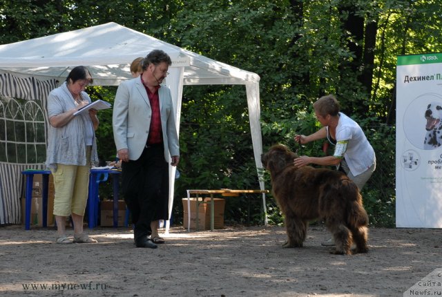 Фотография № 102664