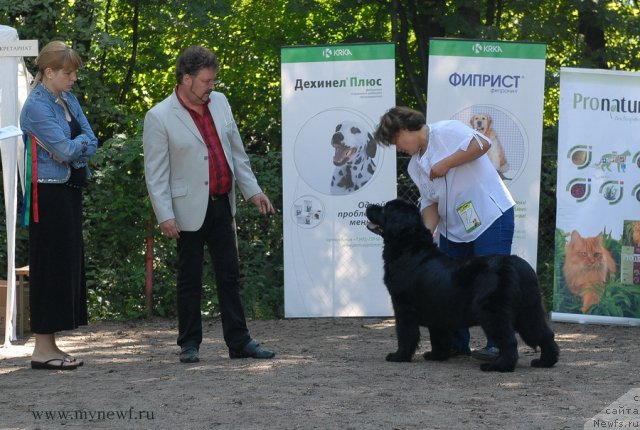 Фотография № 102665