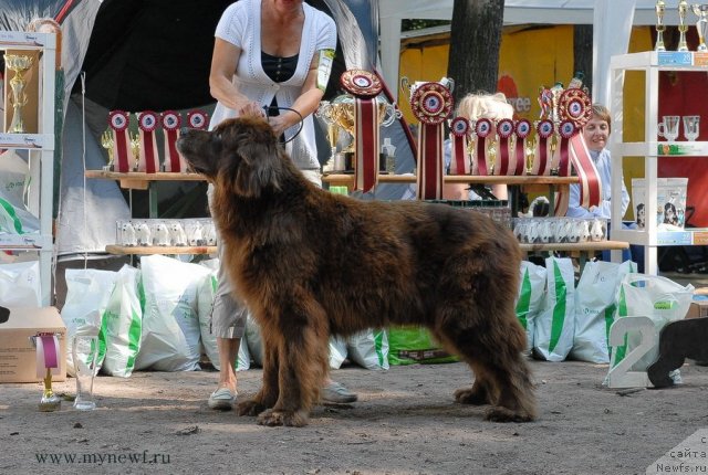 Фотография № 102667