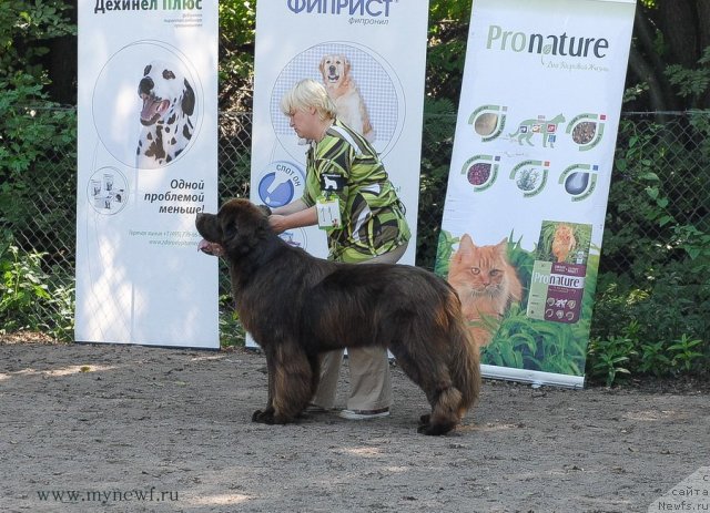 Фотография № 102671