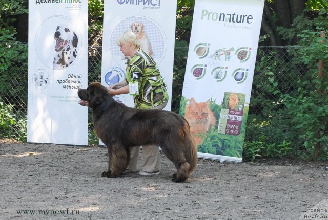 Фотография № 102672