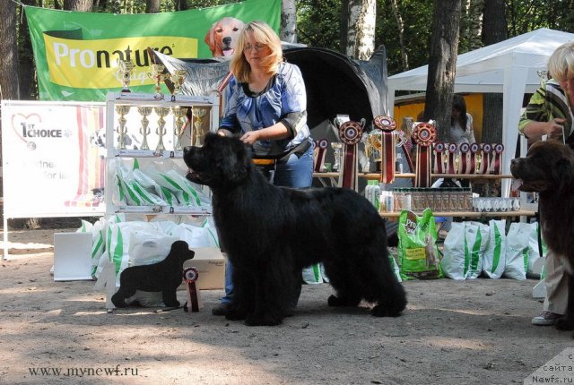 Фотография № 102673