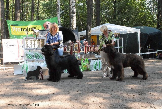 Фотография № 102676