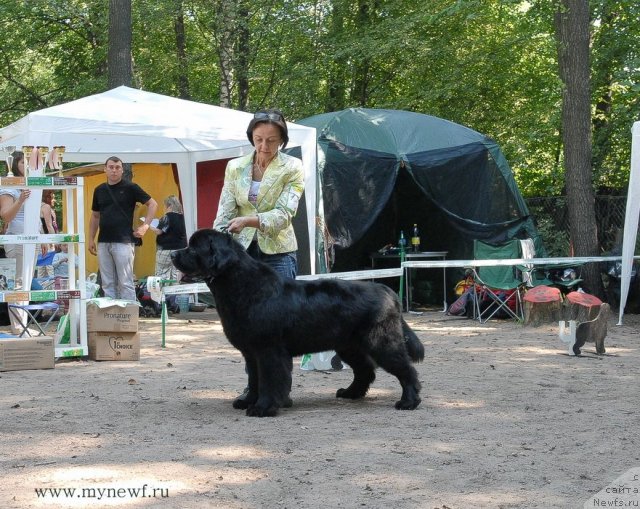 Фотография № 102679