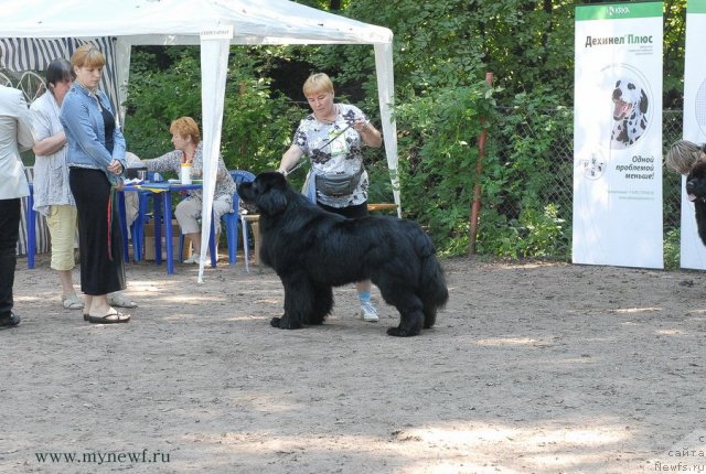 Фотография № 102682