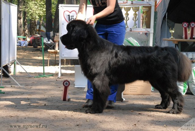 Фотография № 102683