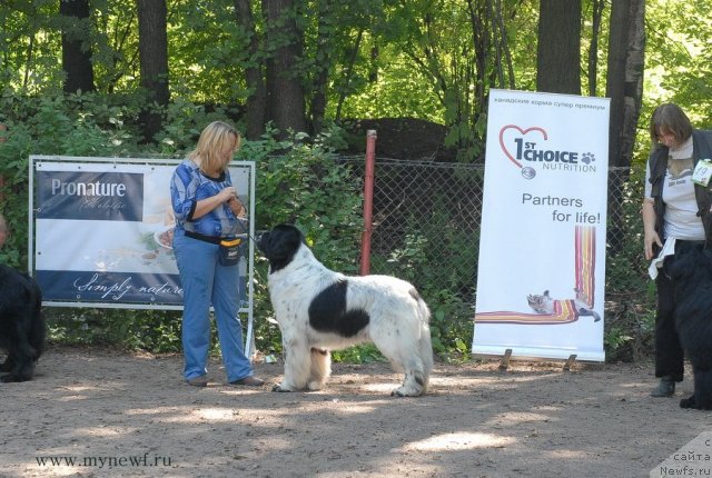 Фотография № 102685