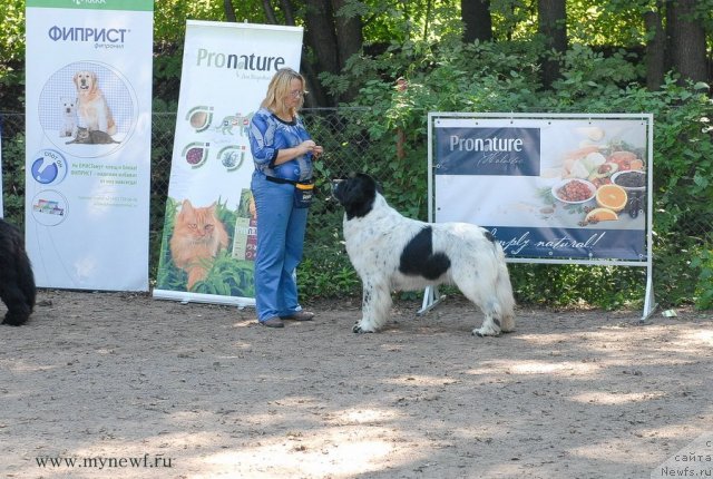 Фотография № 102686