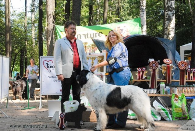 Фотография № 102688