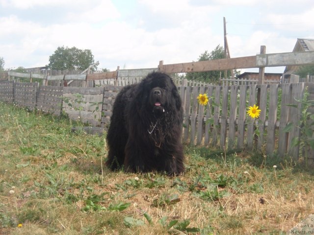 Фотография № 102699