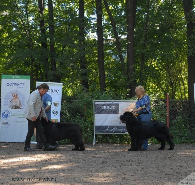 Фотография № 102701