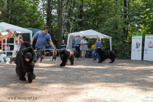 Фотография № 102702