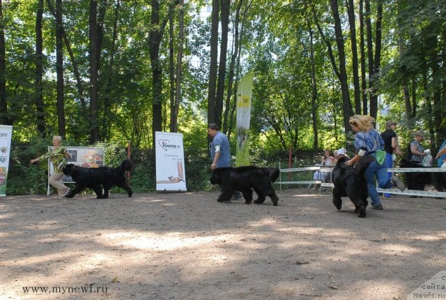 Фотография № 102704