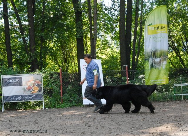 Фотография № 102706