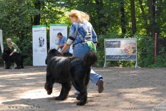 Фотография № 102709