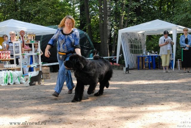 Фотография № 102710