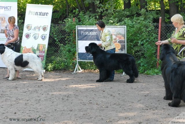 Фотография № 102715