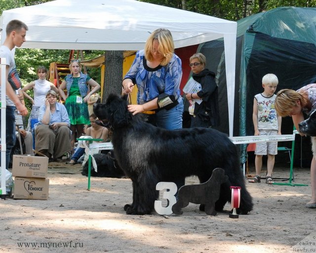 Фотография № 102717