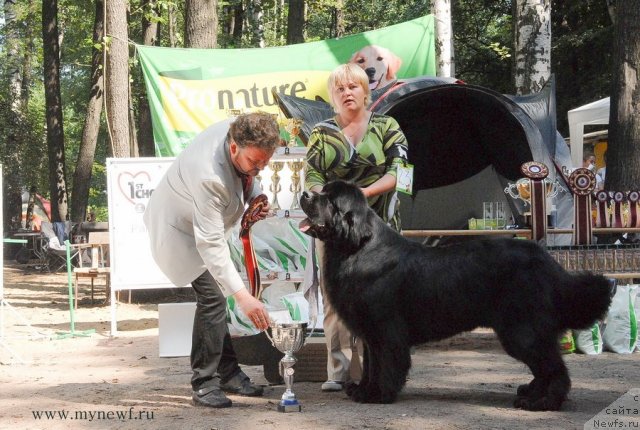 Фотография № 102718