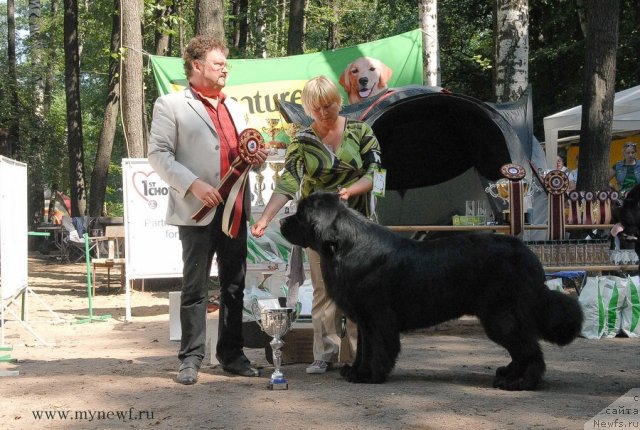 Фотография № 102719