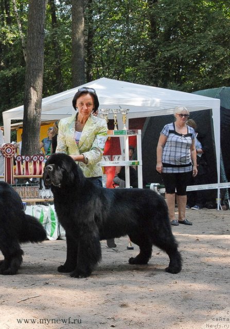 Фотография № 102720