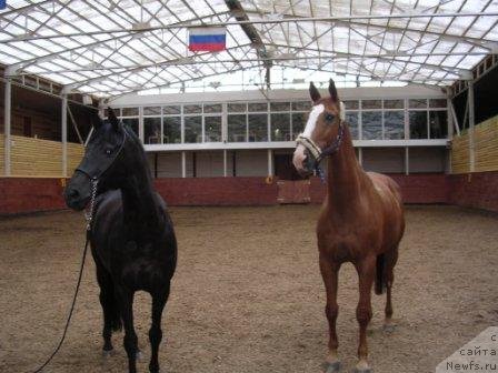 Фотография № 102723