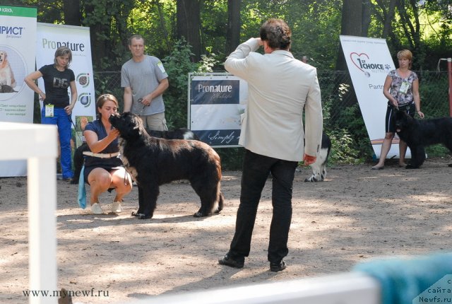 Фотография № 102724