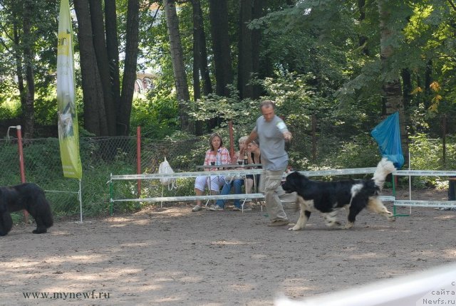 Фотография № 102725